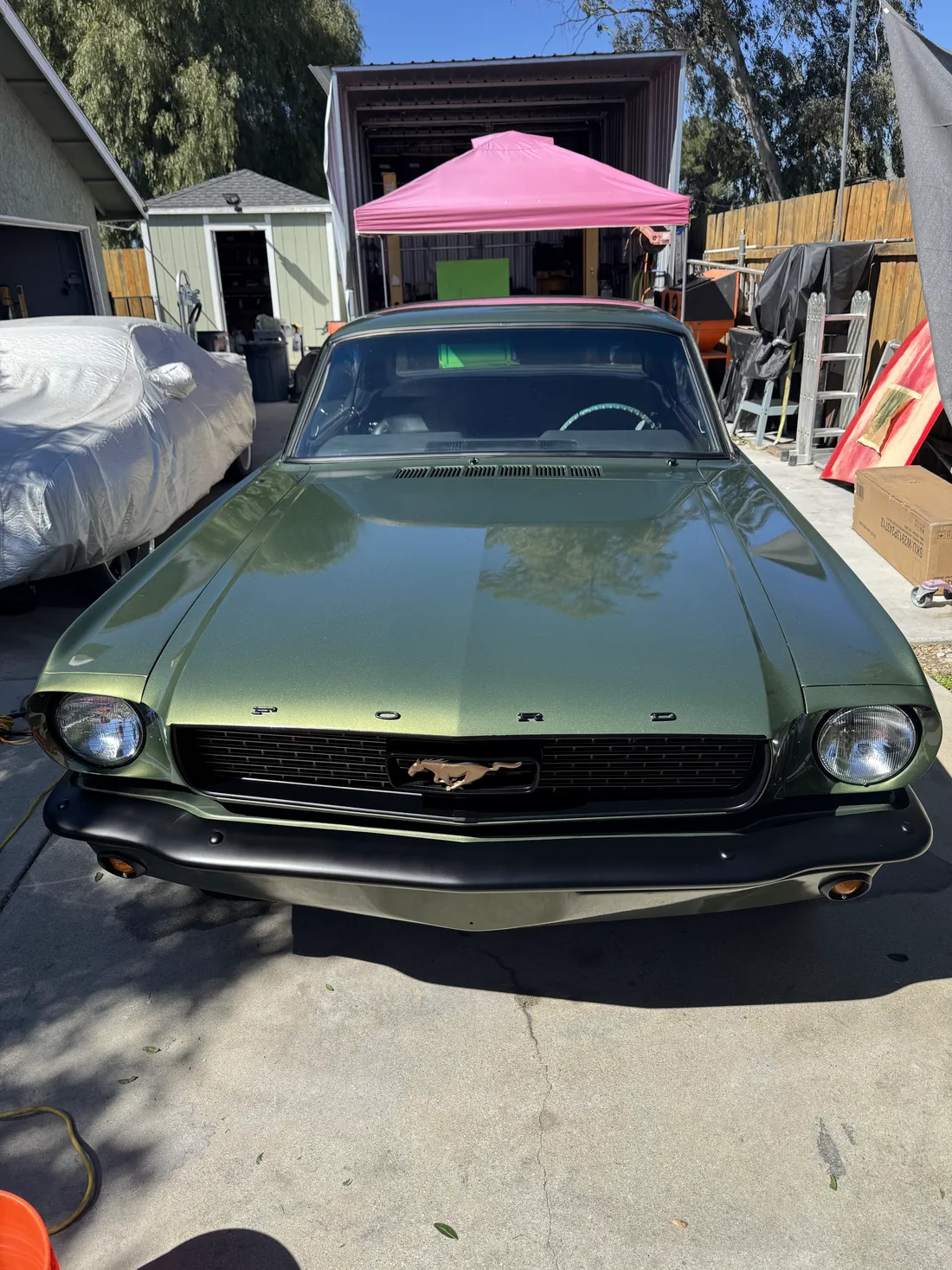 1966 Ford Mustang after a full exterior detail by Pure Wave Auto Detailing